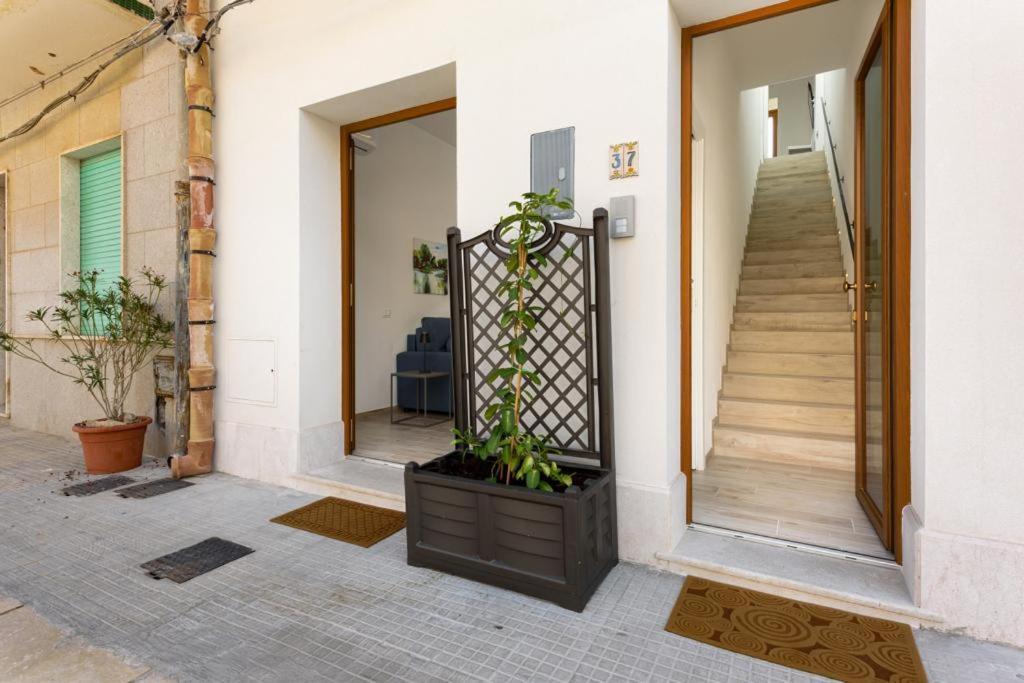 Bedda Luna Apartments San Vito Lo Capo Exterior photo